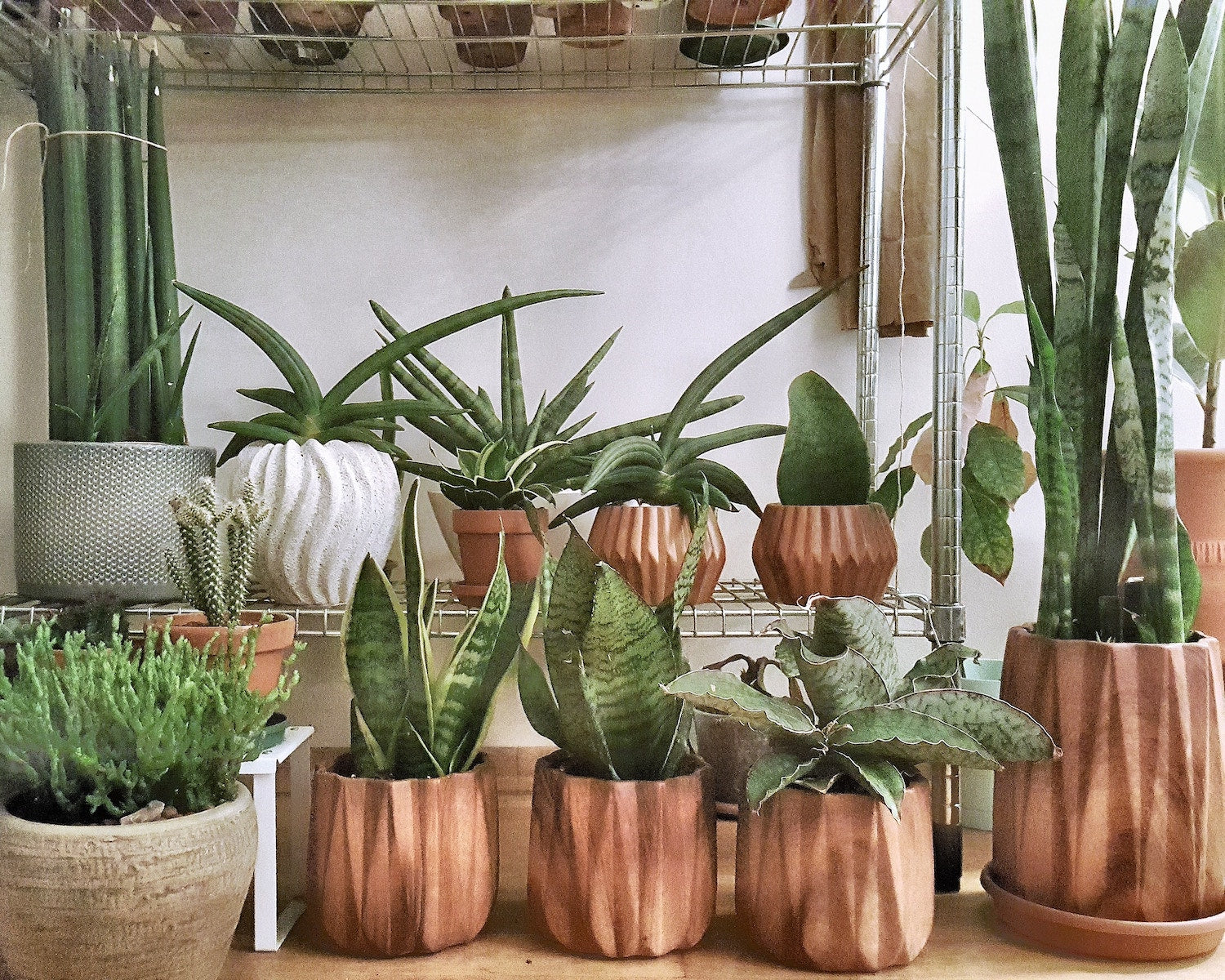 Can I Use Decorative Pots Without Drainage Holes, and How Can I Ensure