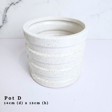 Load image into Gallery viewer, The Leaferie AS-IS october 24. 8 items