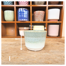 Load image into Gallery viewer, Petit Flowerpots (Series 8)