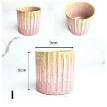 Load image into Gallery viewer, Mini Flowerpots (Series 11)