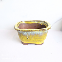 Load image into Gallery viewer, The Leaferie AS-IS Jan 25 . 9 new flowerpots