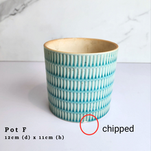 Load image into Gallery viewer, The Leaferie As-is Feb 24. Pot F