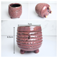 Load image into Gallery viewer, Petit Flowerpots (Series 16)