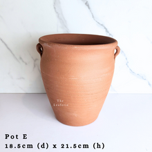 Load image into Gallery viewer, The Leaferie Asi-is Pots Nov and dec 24. 9 items.