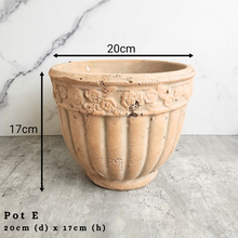 Load image into Gallery viewer, the Leaferie As-is september 2024. 12 pot