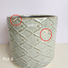 Load image into Gallery viewer, As-Is Pots Batch October 2023 (13 items)