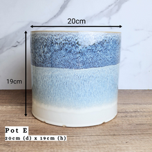 Load image into Gallery viewer, The Leaferie As-is Sale March 24. Pot E