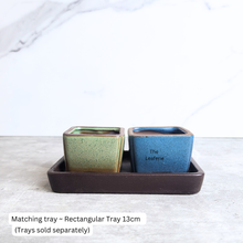Load image into Gallery viewer, The Leaferie Petit Bonsai Series 77 (4 colours) square ceramic material