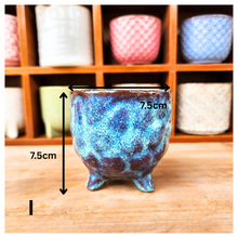 Load image into Gallery viewer, Petit Flowerpots (Series 7)