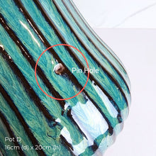 Load image into Gallery viewer, The Leaferie As-is Pot June 2025. 9 items