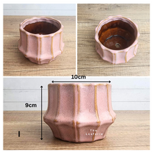 Load image into Gallery viewer, Mini Flowerpots (Series 7) 10cm
