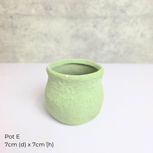 Load image into Gallery viewer, The Leaferie As-is July-aug 25. 9 items