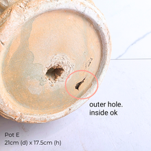 Load image into Gallery viewer, Collection of As-Is Feb 26 ceramic pots with various designs and colors Leaferie brand.