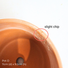 Load image into Gallery viewer, The Leaferie As-is March 25 . 9 items