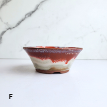 Load image into Gallery viewer, Bonsai Flowerpot (Series 51) 8 colours