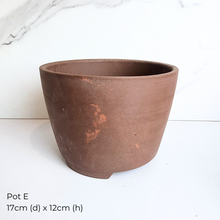 Load image into Gallery viewer, The Leaferie As-Is Feb 2025. 9 pieces items