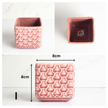 Load image into Gallery viewer, Mini Flowerpots (Series 6) 10cm