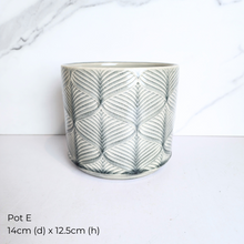 Load image into Gallery viewer, The Leaferie As-Is Pot April 25. 9 items