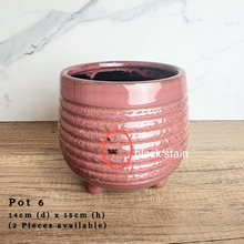 Load image into Gallery viewer, The Leaferie AS-IS Pots December 23. Pot 6