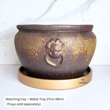 Load image into Gallery viewer, Lorelei Flowerpot (Suitable for Fish Bowl)