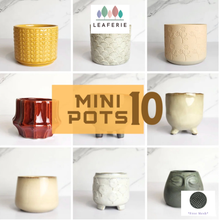 Load image into Gallery viewer, Mini Flowerpots (Series 10) 10cm