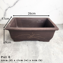 Load image into Gallery viewer, The Leaferie As-is august 24. 12 items