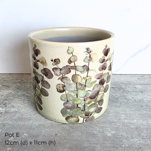Load image into Gallery viewer, The Leaferie AS-Is March 26. pots.