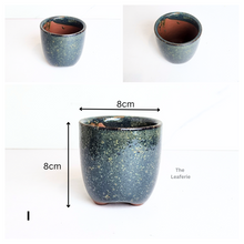 Load image into Gallery viewer, Petit Flowerpots (Series 19)