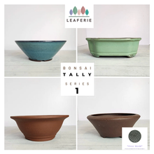Load image into Gallery viewer, Tally Bonsai Flowerpot (Series 1)