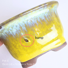 Load image into Gallery viewer, The Leaferie AS-IS Jan 25 . 9 new flowerpots