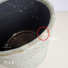 Load image into Gallery viewer, As-Is Pots Batch October 2023 (13 items)