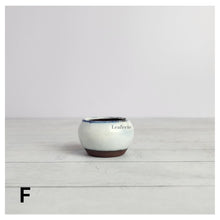 Load image into Gallery viewer, Petit Bonsai Pot (Series 8)