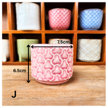 Load image into Gallery viewer, Petit Flowerpots (Series 7)