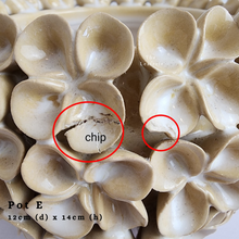 Load image into Gallery viewer, The Leaferie As-Is Batch june 2024. defective pot 12 pieces.