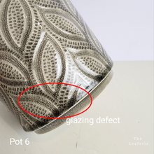 Load image into Gallery viewer, As-Is Pots Batch September 2023 (13 items)