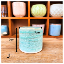 Load image into Gallery viewer, Petit Flowerpots (Series 6)