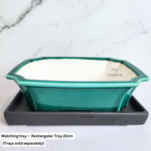 Load image into Gallery viewer, Bonsai Tally (Series 11) Rectangular Flowerpot