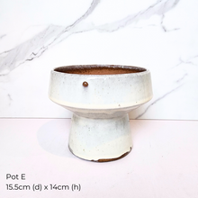 Load image into Gallery viewer, The Leaferie As-is March 25 . 9 items