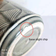 Load image into Gallery viewer, The Leaferie As-Is Pot April 25. 9 items