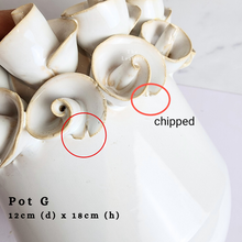 Load image into Gallery viewer, The Leaferie As-is July 2024. 12 designs