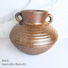 Load image into Gallery viewer, The Leaferie As-is Pot June 2025. 9 items