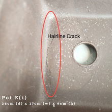 Load image into Gallery viewer, The Leaferie As-is august 24. 12 items