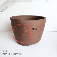 Load image into Gallery viewer, The Leaferie As-Is Feb 2025. 9 pieces items