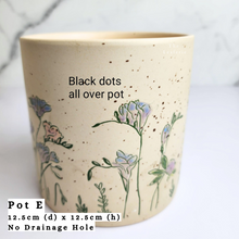 Load image into Gallery viewer, The Leaferie As-Is April 2024 flowerpots