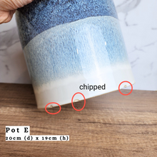 Load image into Gallery viewer, The Leaferie As-is Sale March 24. Pot E