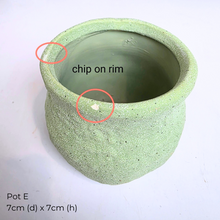 Load image into Gallery viewer, The Leaferie As-is July-aug 25. 9 items