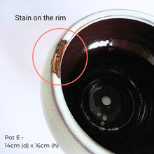 Load image into Gallery viewer, As-is Sept 26. 9 items with slight defects.