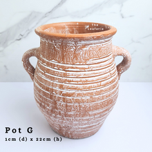 Load image into Gallery viewer, The Leaferie As-is Feb 24. Pot G