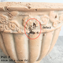 Load image into Gallery viewer, the Leaferie As-is september 2024. 12 pot