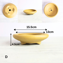 Load image into Gallery viewer, Petit Bonsai Tray / flowerpot (Series 4)